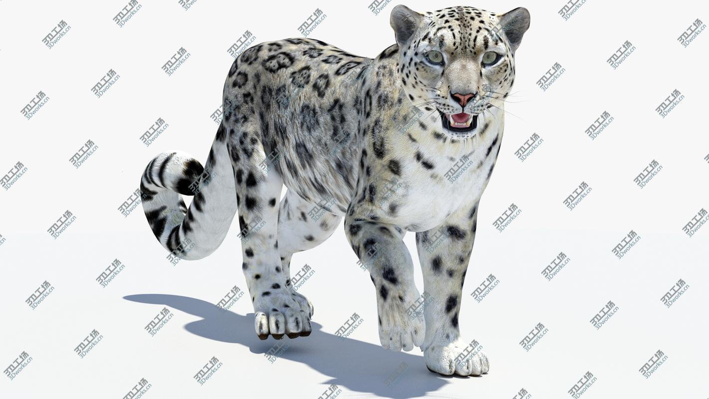 images/goods_img/2021040161/Snow Leopard 2 Animated 3D model/2.jpg